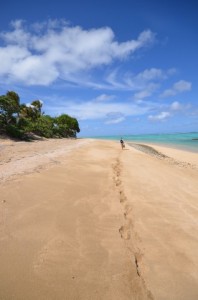 Leave nothing but footprints - thank you Tonga