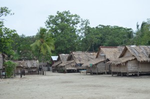 Local Village, Nende Island