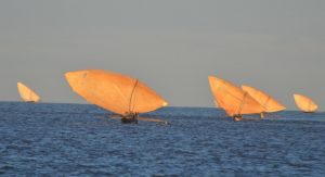 Sailing dhows in Majunga